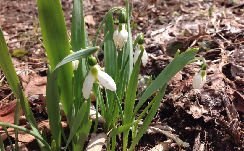 You and Me and All the&nbsp;Bees