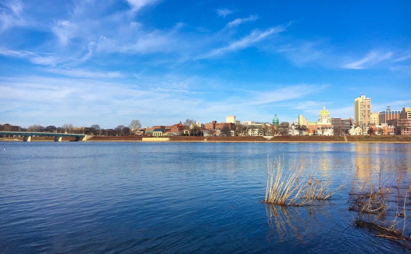 Baba O’Riley or The One Where I Make a Branch into a Curtain&nbsp;Rod